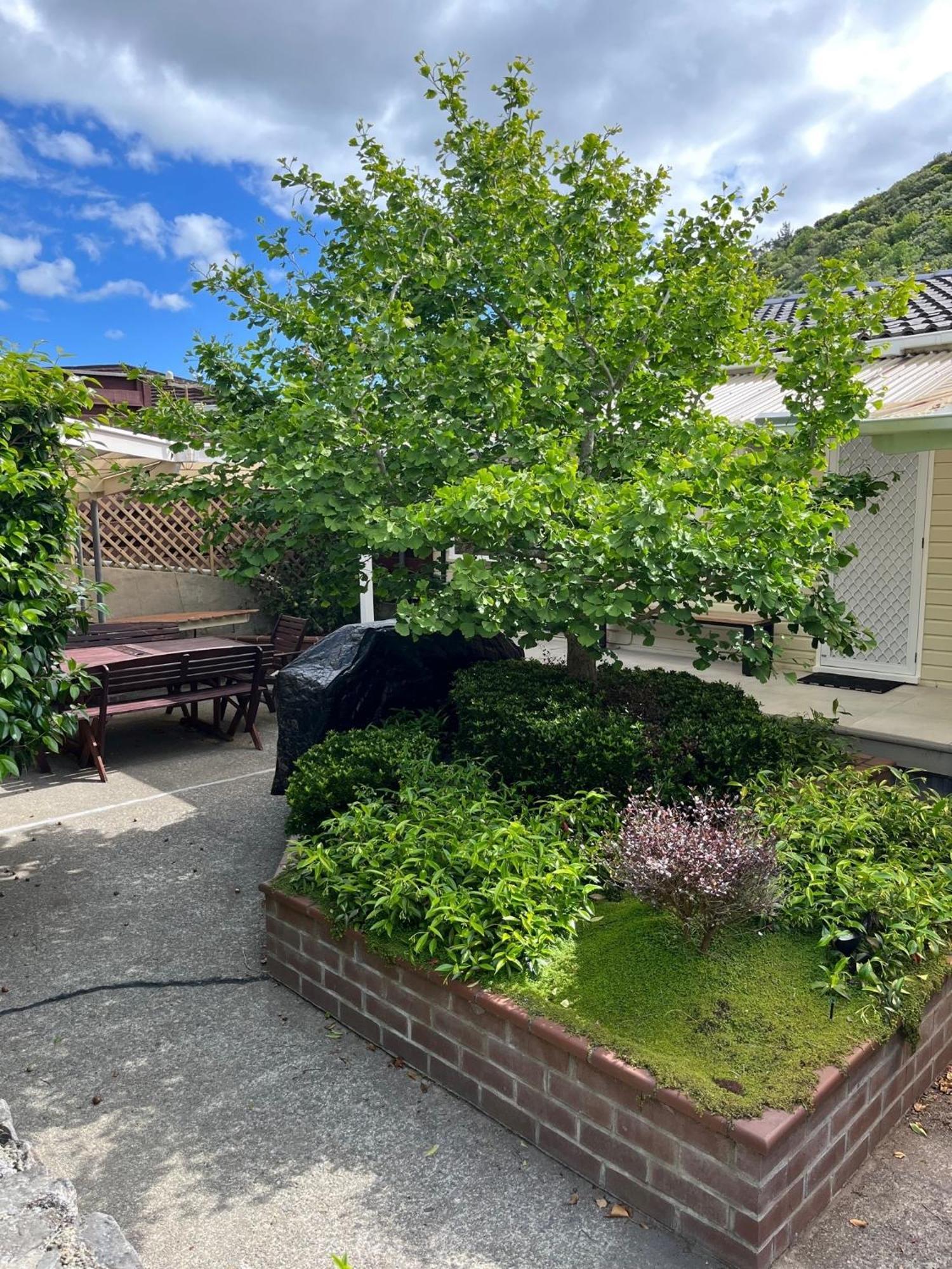 Retro 4 Bedroom Home, Warm And Welcoming, Quiet Location Porirua Exteriér fotografie
